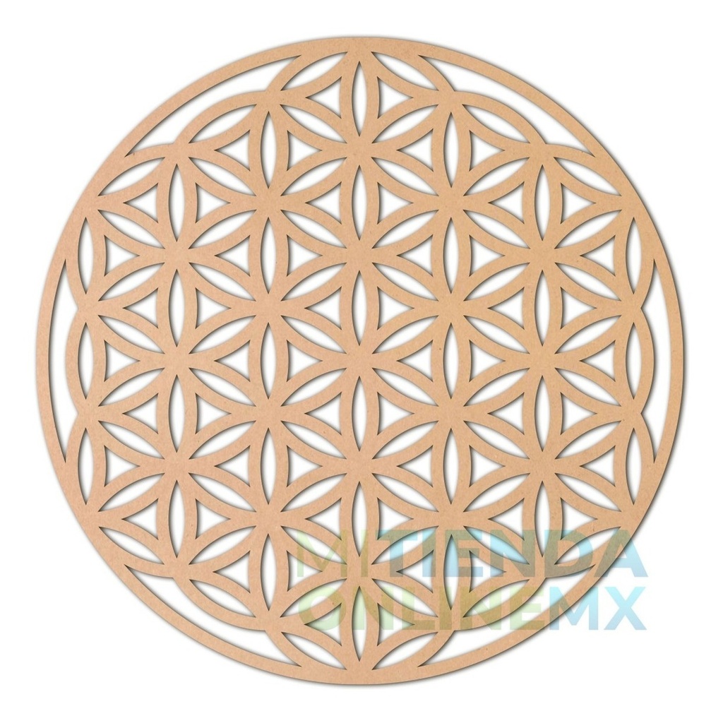 Flor De La Vida Cuadro Geometría Sagrada Decoración 30x27 3m