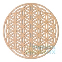 Flor De La Vida Cuadro Geometría Sagrada Decoración 30x27 3m