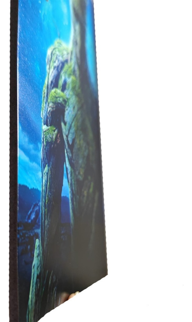 Cuadro Groot 25x36 Impresión Directa En Mdf Personalizado