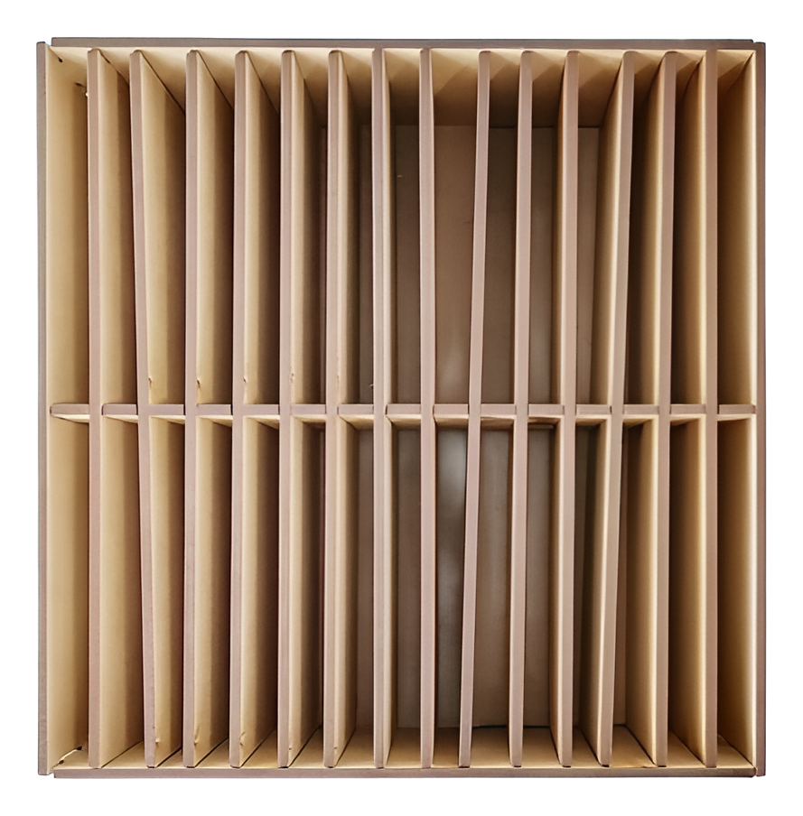 Organizador 30 Credenciales Personal Recepción Tarjetas