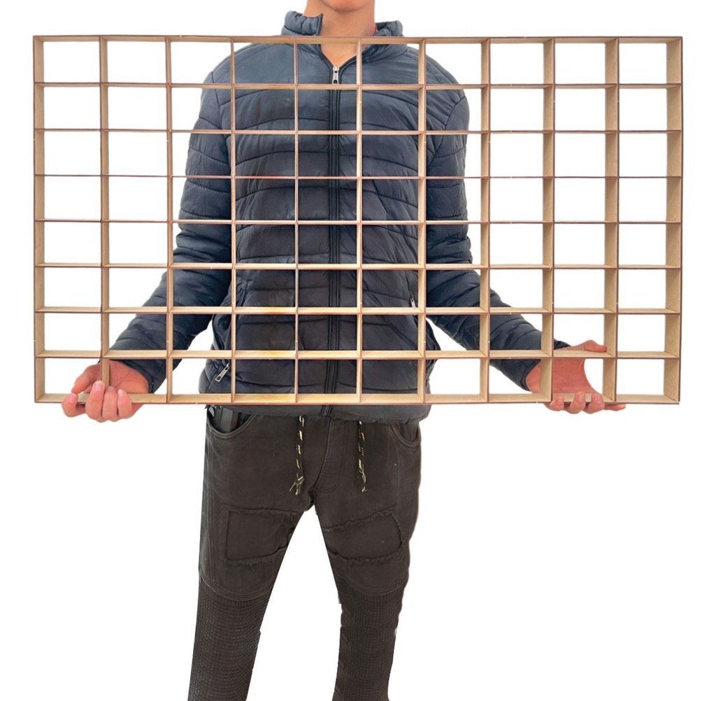 Organizador Para 100 Autos Hot Wheels Sencillo Económico