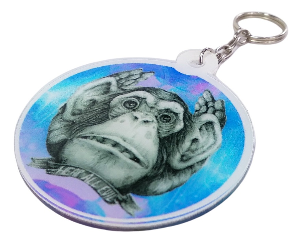 Juego De Llaveros Doble Vista Acrílico Impreso