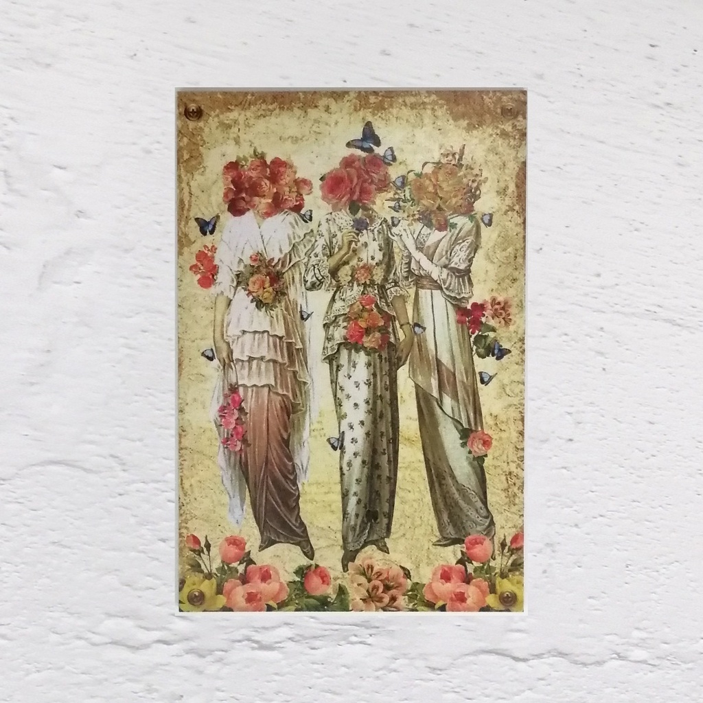 Cuadro Decorativo Vintage Hogar Oficina Las 3 Damas 20x30