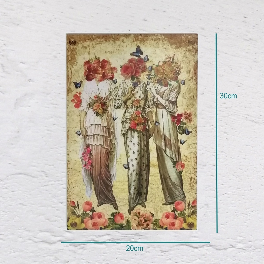 Cuadro Decorativo Vintage Hogar Oficina Las 3 Damas 20x30