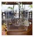 Caja Buzón Sobres Alcancía Nuestra Boda Plata Acrílico
