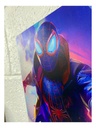 Cuadro Decorativo Spiderman 20x30 Impresión En Mdf 3mm M01