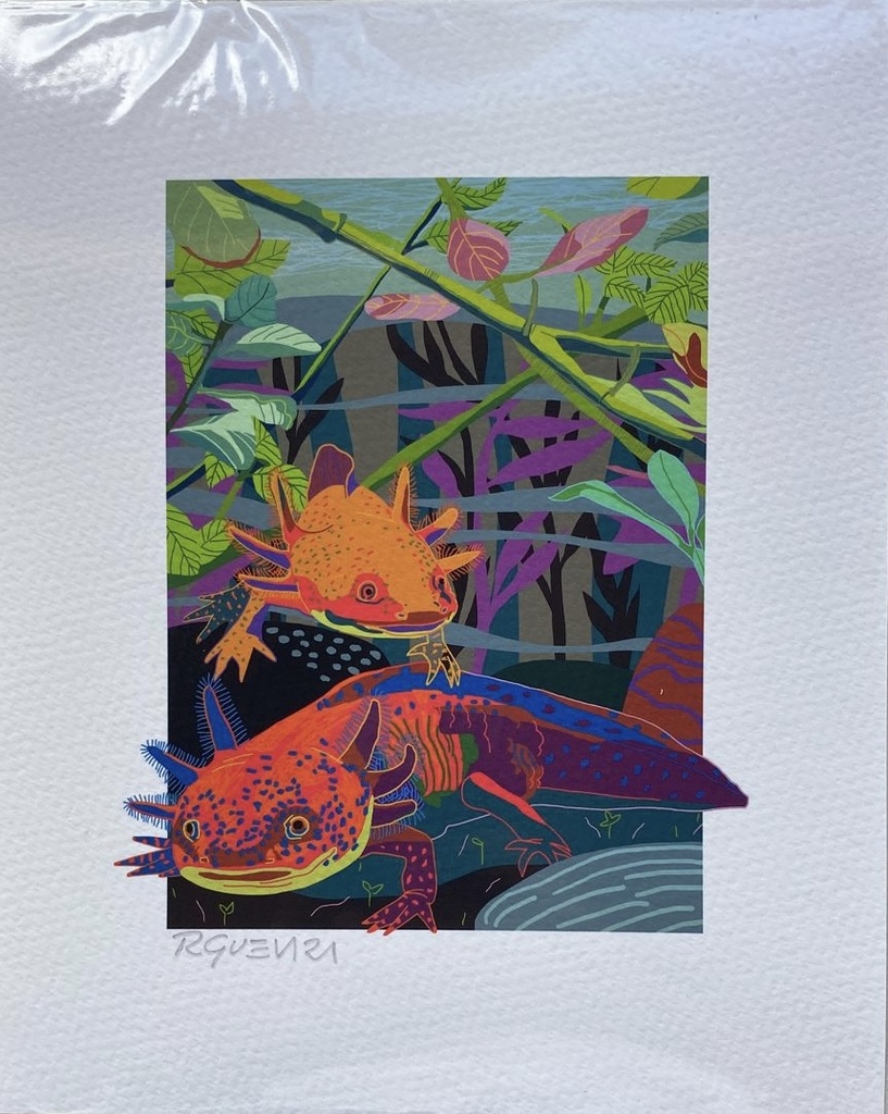 LITOGRAFIAS RICARDO GUEVARA