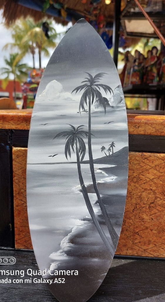 TABLA DE SURF FRIDA CH