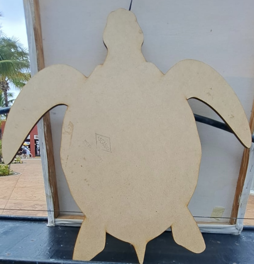 TORTUGA MADERA GRANDE ROMAN