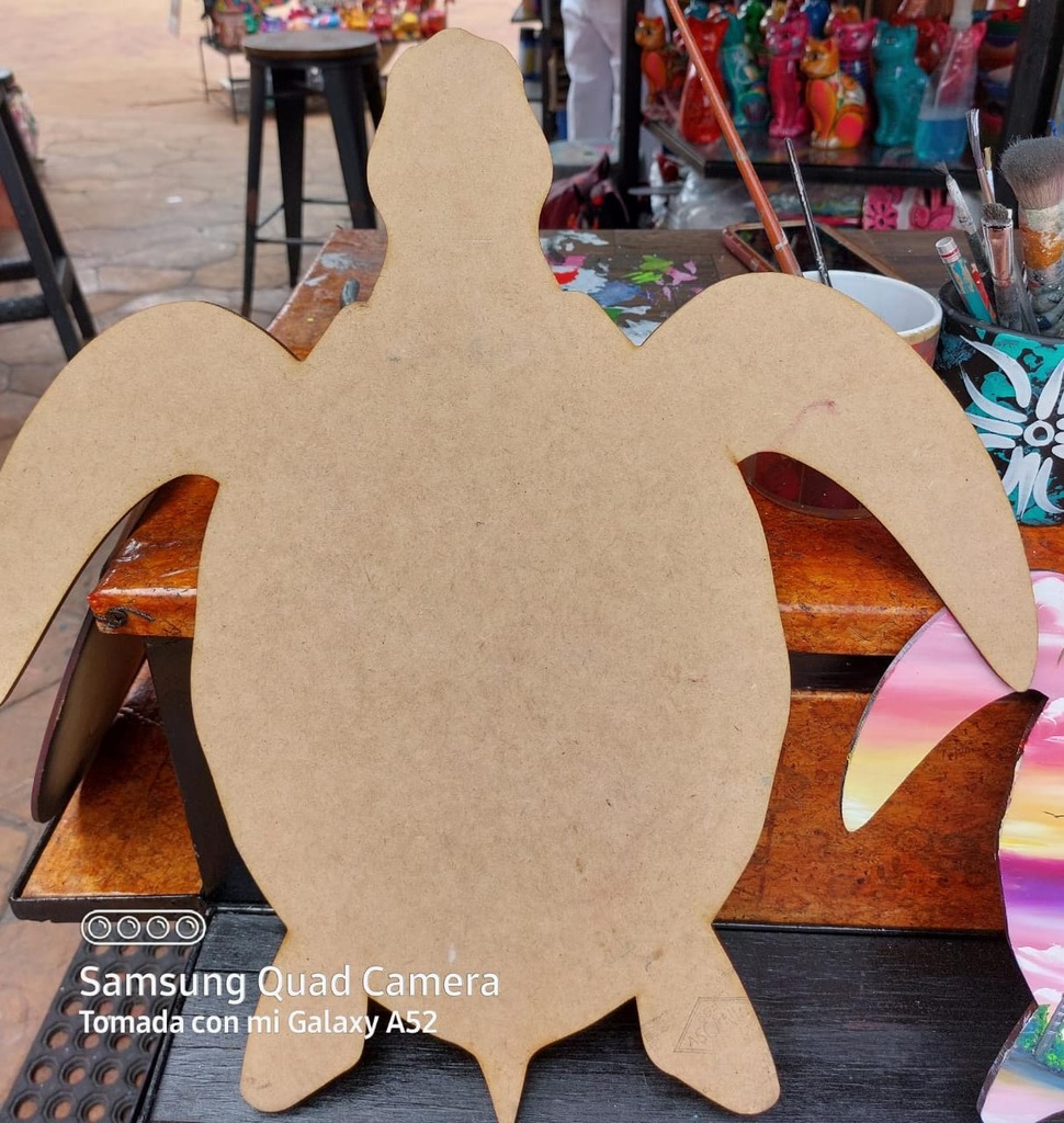 TORTUGA GRANDE FRIDA