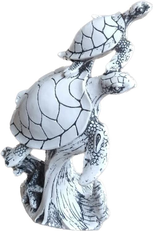 Par de tortugas arecife