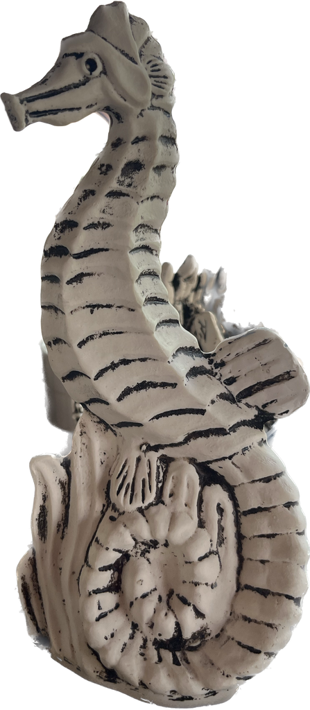 Caballito de Mar Hueso