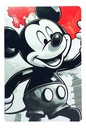 Cuadro Mickey Mouse Vintage Impresión Mdf 3mm 20x30 M01