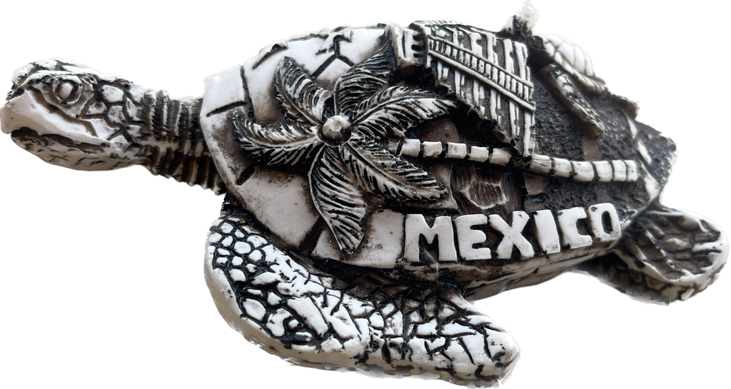 Tortuga Chica con hijo