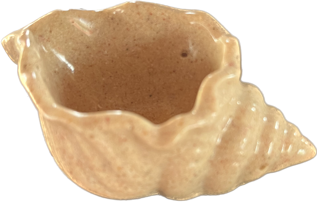 CONCHA Concava Juanjo