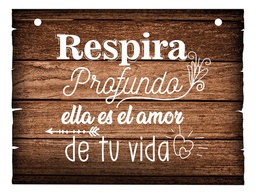 Letrero Cuadro Paje Boda Decoración 40x30cm  P02 C16