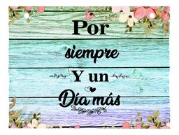 Letrero Cuadro Paje Boda Decoración 40x30cm  P05 A1-11