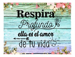 Letrero Cuadro Paje Boda Decoración 40x30cm  P05 A1-17