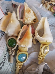 [LB02] PIPAS CARACOL G.