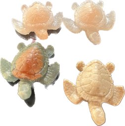 [JU01] TORTUGA MINI JUANJO