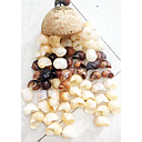 [BO1] Movil Bacalar Caracolitos