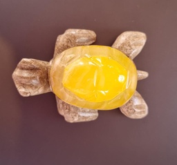 [K07] TORTUGA ONIX #3