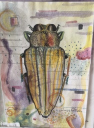 [RLD2] PINTURA ROSA LINDA MARIN 2