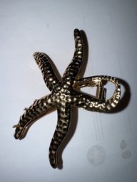 [Gp13] Pinza estrella