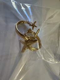 [Gp19] Anillo estrella